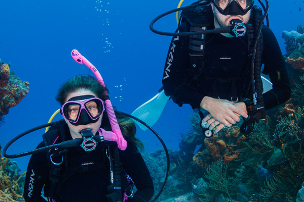 dive expedition