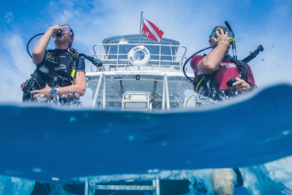 dive insurance