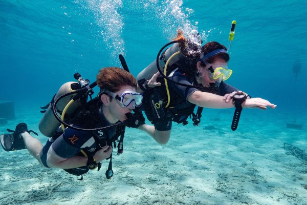 scuba diving courses